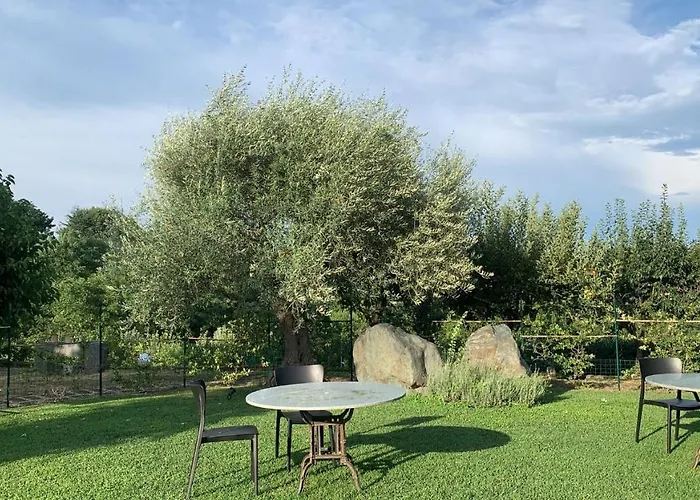 Mehdi's Пинероло