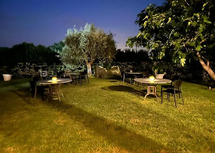 Mehdi's Отель типа 